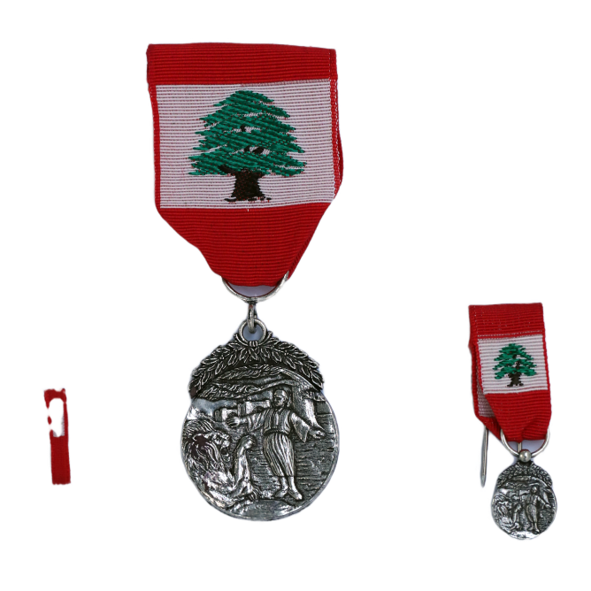 الدرجة الثانية - فضي ذو السعف